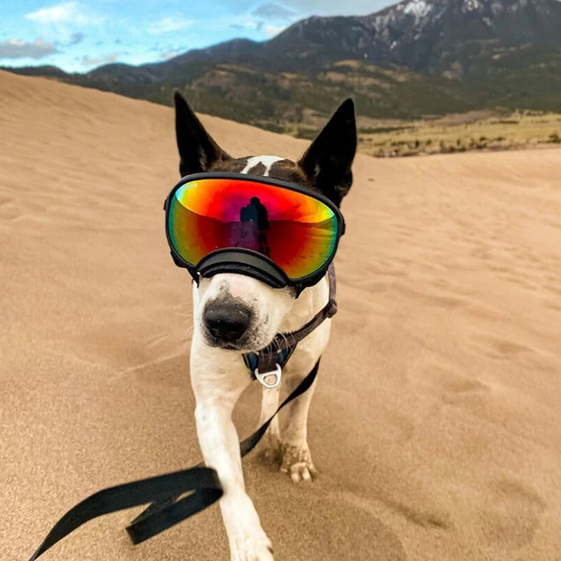 AeroPup Dog Goggles