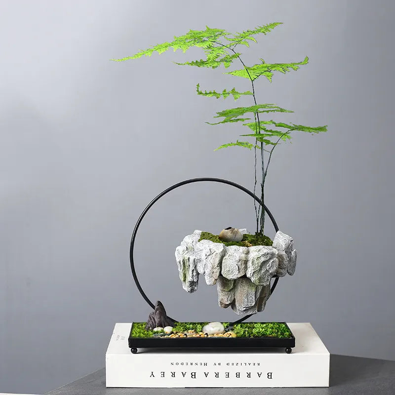 levitating bonsai tree Floating Stone Planter with Magnetic Base – Alexander Hampton