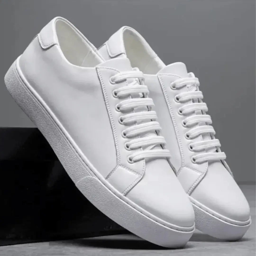 Valmont Leather Low Tops