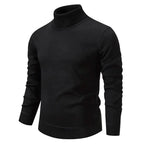 Lucerne Cashmere Blend Turtleneck