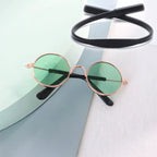 Pet Round Metal Sunglasses