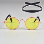 Pet Round Metal Sunglasses