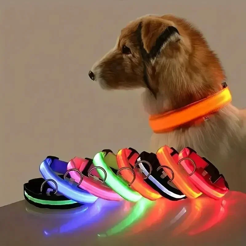 LumaGuard LED Dog Collar