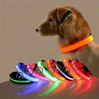 LumaGuard LED Dog Collar