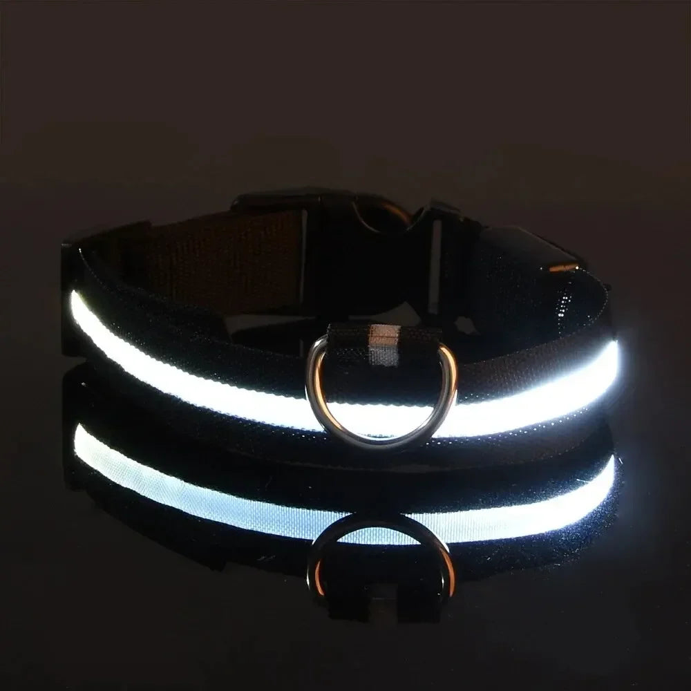LumaGuard LED Dog Collar