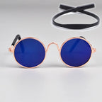 Pet Round Metal Sunglasses