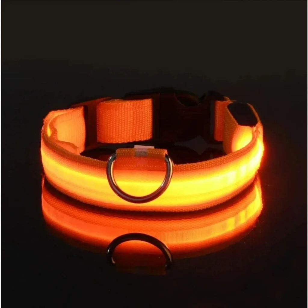 LumaGuard LED Dog Collar