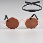 Pet Round Metal Sunglasses