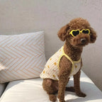 HeartPet Mini Dog Sunglasses