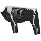 Large Dog Skeleton Bodysuit Costume