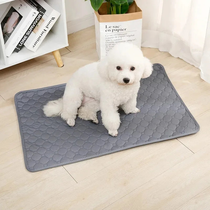 Reusable Waterproof Dog Training Pad