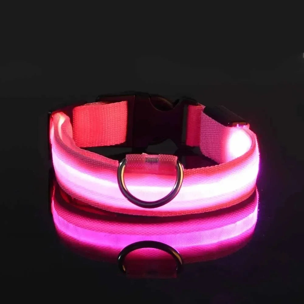 LumaGuard LED Dog Collar
