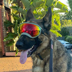 AeroPup Dog Goggles