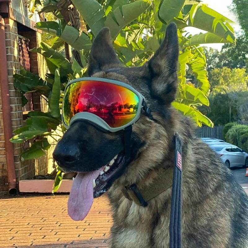 AeroPup Dog Goggles