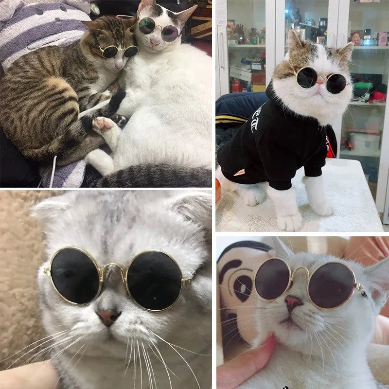 Retro Round Pet Sunglasses
