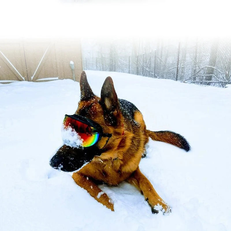 AeroPup Dog Goggles