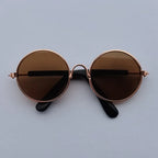 Retro Round Pet Sunglasses