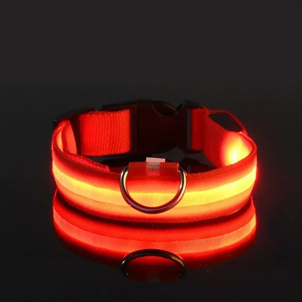 LumaGuard LED Dog Collar