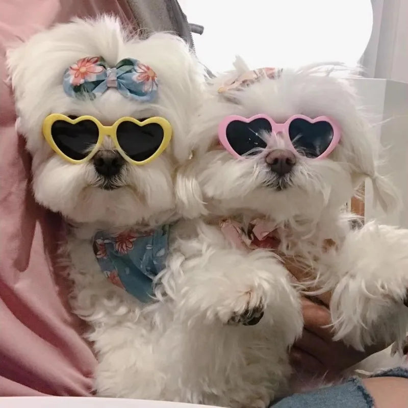 HeartPet Mini Dog Sunglasses