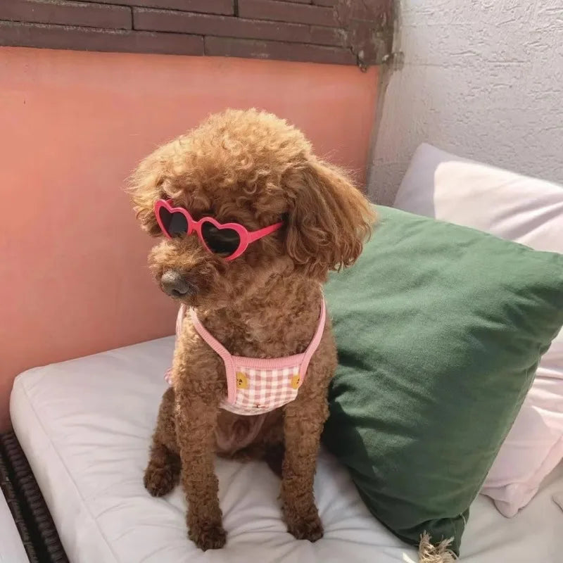 HeartPet Mini Dog Sunglasses