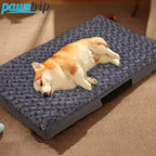 Plush Orthopedic Dog Bed Mat